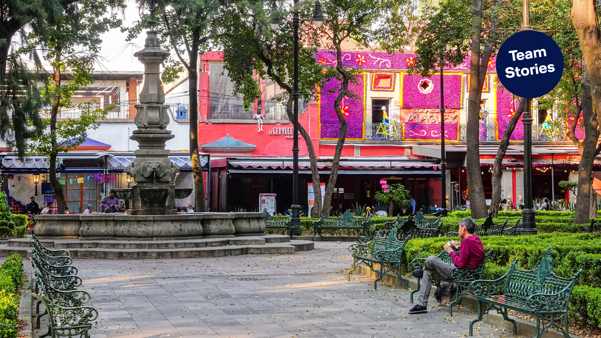 In My Hood Out and About in Coyoacán Mexico City Lufthansa