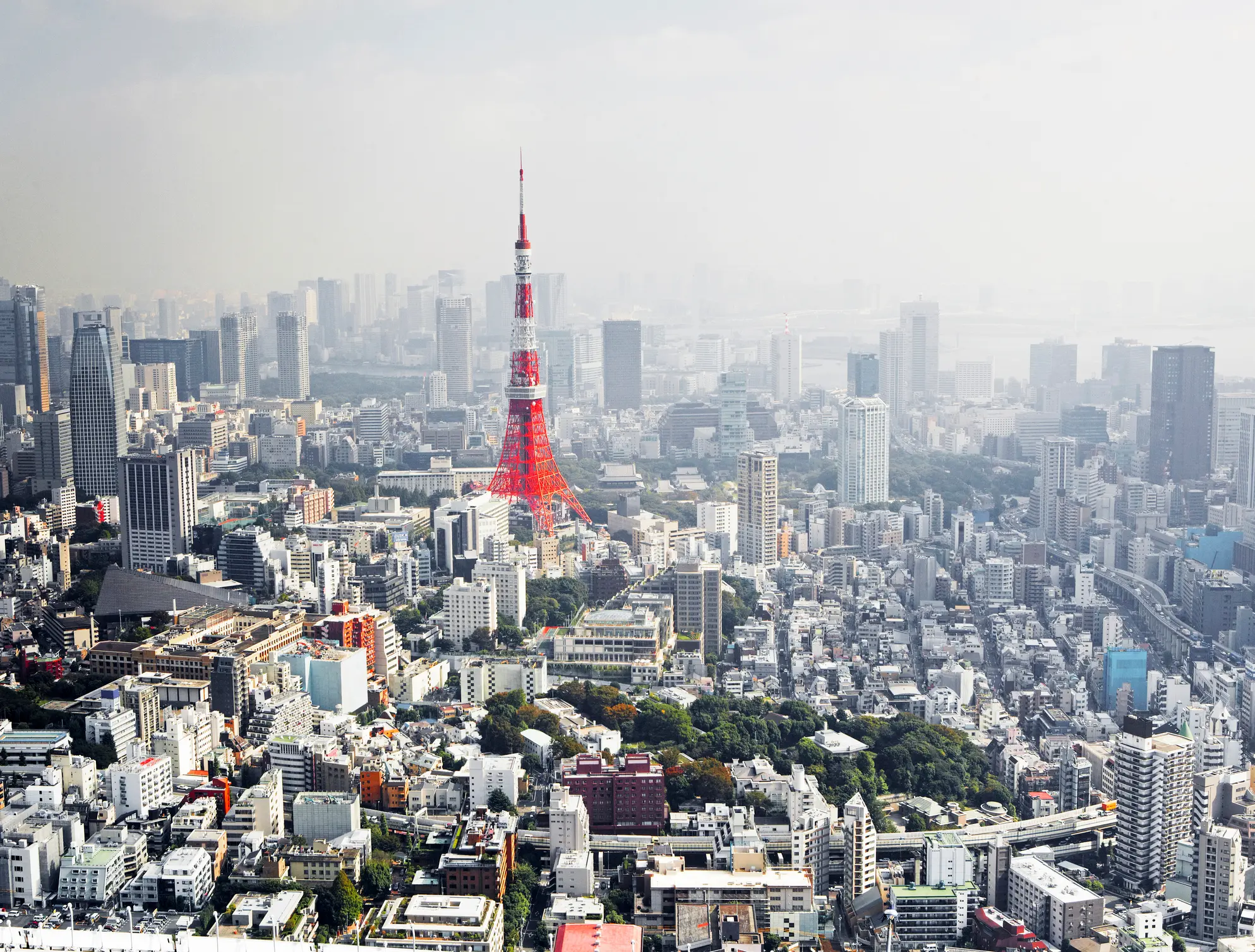 A breathtaking Tokyo skyline unfolds from a skyscraper, showcasing the iconic Tokyo Tower amidst urban sprawl and greenery. The vast sky enhances the city's majestic allure.