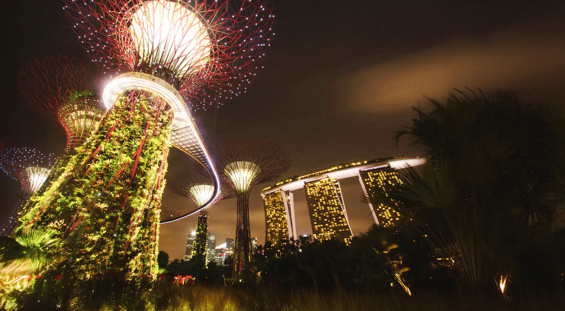 Gardens by the Bay in Singapore glows at night, with illuminated trees and buildings. A starry sky adds to its serene beauty, creating a mesmerizing spectacle of lights and nature intertwined.