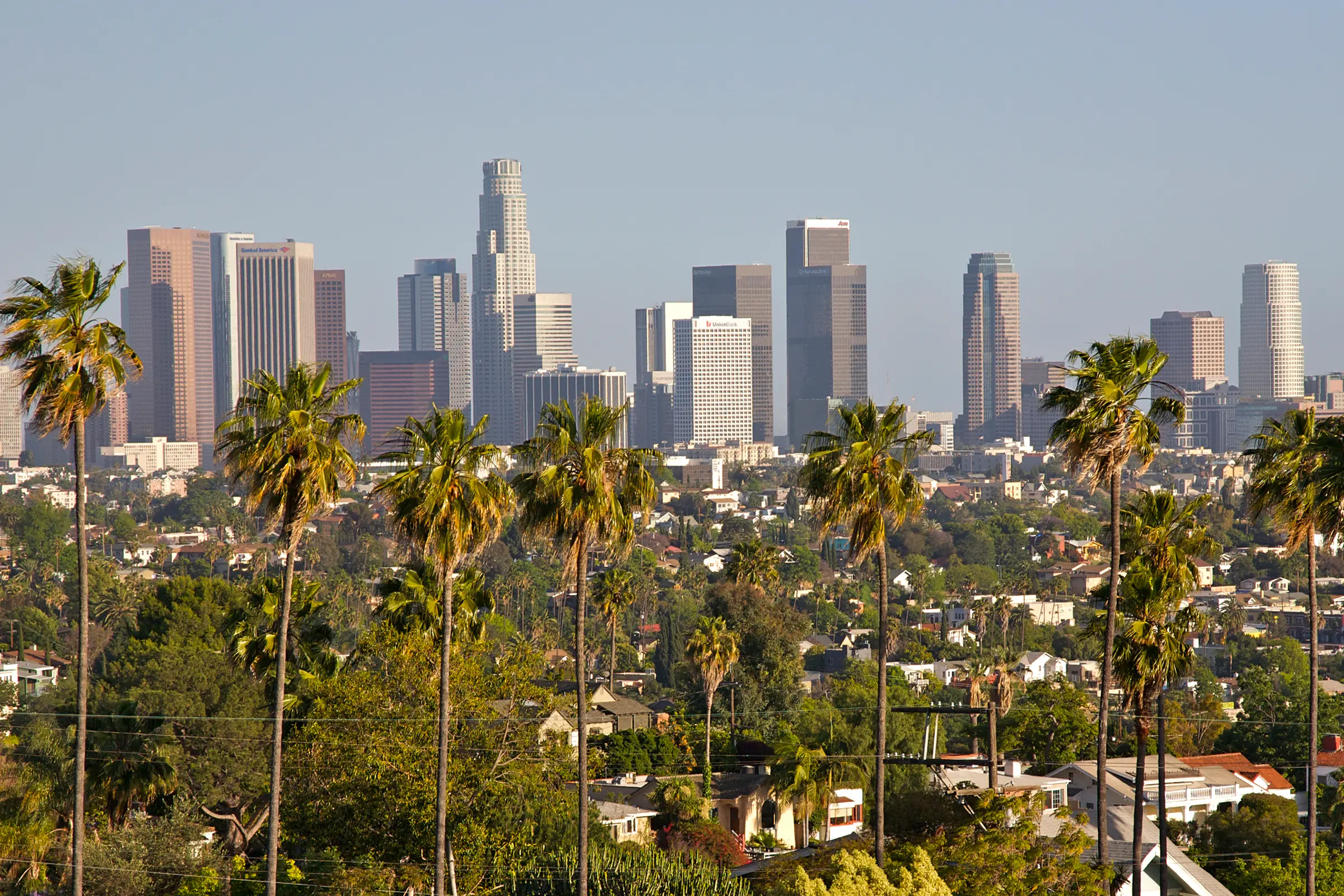 A stunning view of Los Angeles unfolds from a hilltop, with lush green palm trees framing the vibrant city skyline. The bright blue sky enhances the contrast between nature and urban life below.