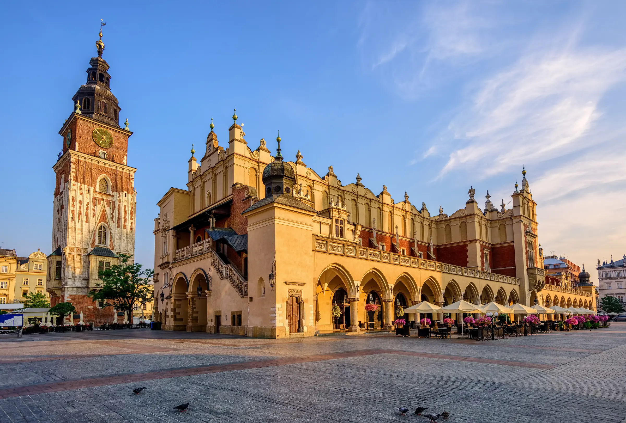 Kraków's main square: a clock tower stands tall amid historic buildings. Tables and umbrellas cover the plaza, adorned with trees and vibrant flowers. Birds wander freely beneath a clouded, serene sky.