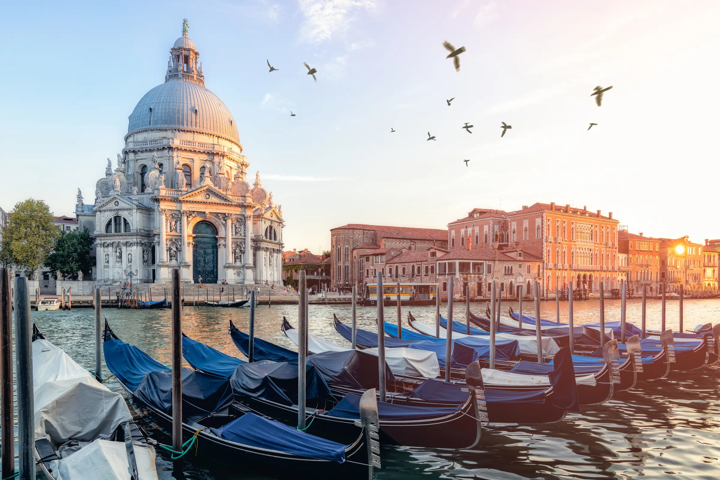Gondolas line the Grand Canal at sunset in Venice. Calm waters reflect the vibrant sky. Buildings and trees border the scene as birds soar, creating a tranquil and picturesque Venetian evening.