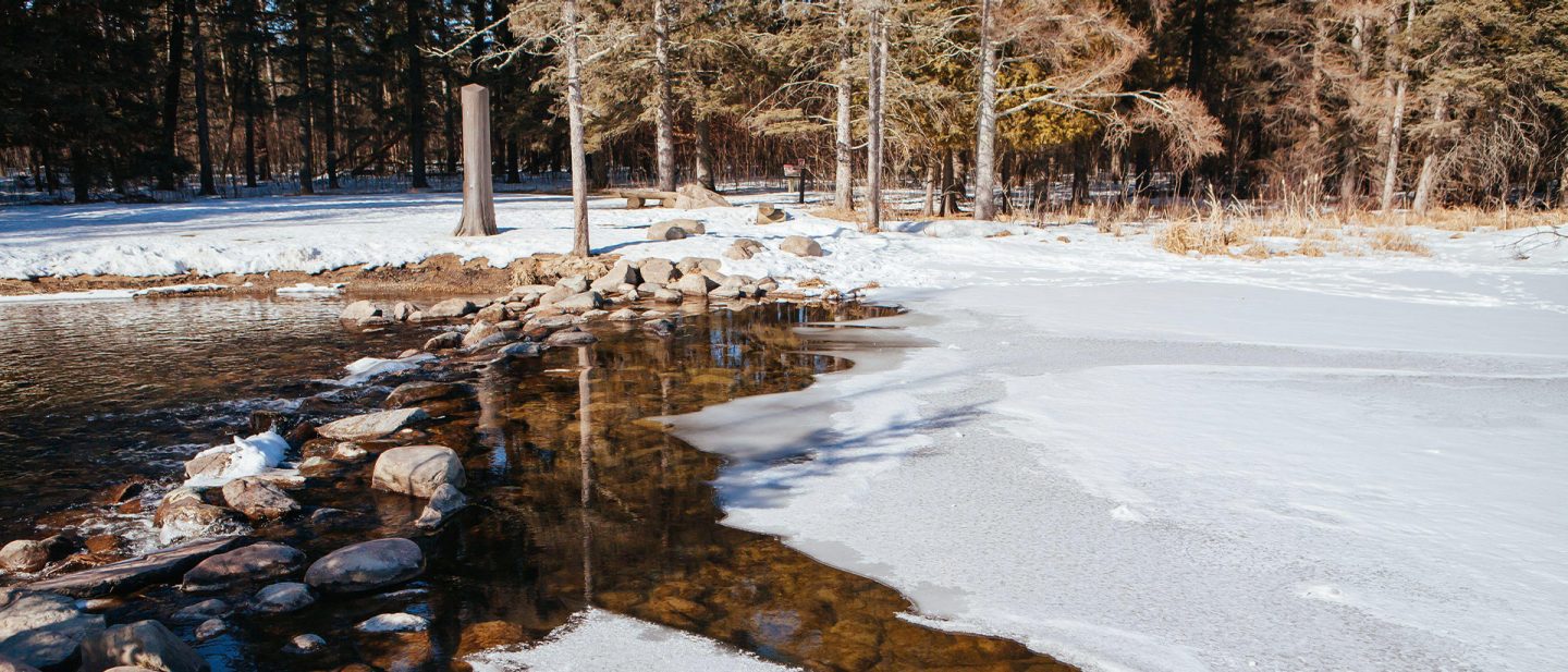 A winter landscape with a partially frozen lake and a forest in the background.